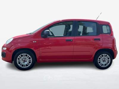 Fiat Panda III 2016 1.2 69cv Easy S&S my19 Rosso usata Albignasego