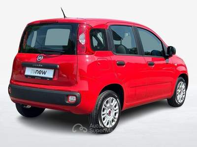 Fiat Panda III 2016 1.2 69cv Easy S&S my19 Rosso usata Albignasego