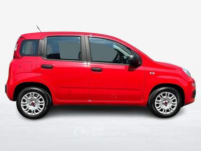 Fiat Panda 1.2 Easy s&s 69cv my19 Rosso usata Albignasego
