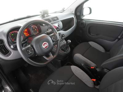 Fiat Panda Panda 1.0 FireFly Hybrid City Life Grigio usata Parma