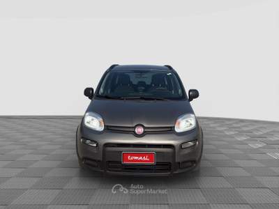 Fiat Panda Panda 1.0 FireFly Hybrid City Life Grigio usata Parma