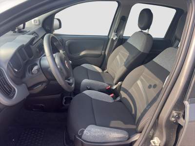 Fiat Panda Panda 1.0 FireFly Hybrid City Life Grigio usata Parma
