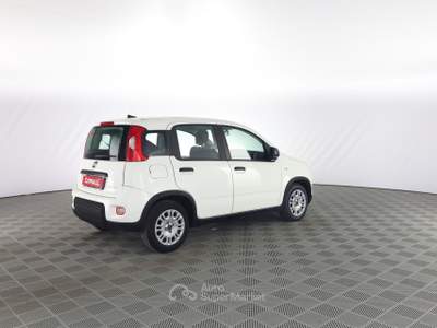 Fiat Panda Panda 1.0 FireFly S&S Hybrid Bianco usata Parma