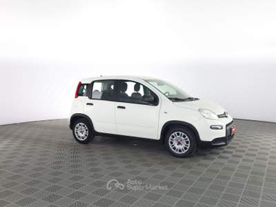 Fiat Panda Panda 1.0 FireFly S&S Hybrid Bianco usata Parma