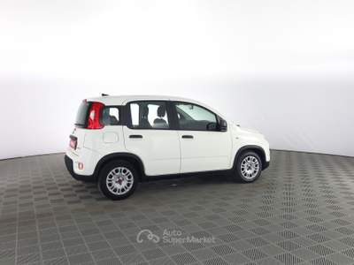 Fiat Panda Panda 1.0 FireFly S&S Hybrid Bianco usata Parma
