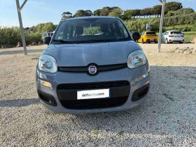Fiat Panda Panda III 2021 1.0 firefly hybrid City Life s Grigio usata Cerveteri