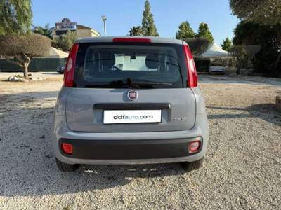 Fiat Panda Panda III 2021 1.0 firefly hybrid City Life s Grigio usata Cerveteri
