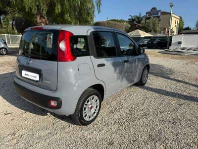 Fiat Panda Panda III 2021 1.0 firefly hybrid City Life s Grigio usata Cerveteri