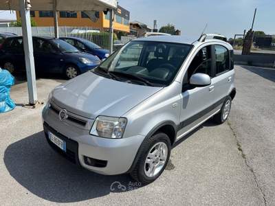 Fiat Panda DPF 4x4 Climbing Grigio usata Mondovì