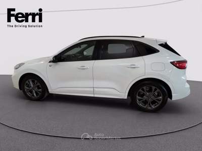 Ford Kuga 2.0 ecoblue ST-Line 2wd 120cv auto Bianco usata Cesena