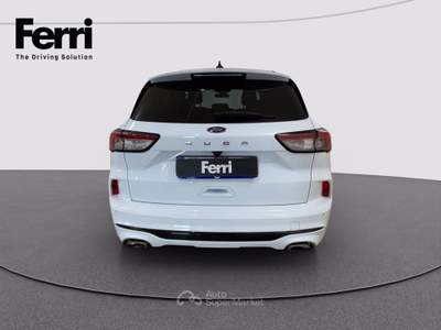 Ford Kuga 2.0 ecoblue ST-Line 2wd 120cv auto Bianco usata Cesena