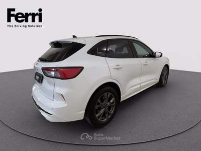 Ford Kuga 2.0 ecoblue ST-Line 2wd 120cv auto Bianco usata Cesena