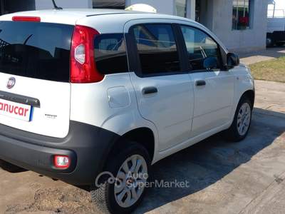Fiat Panda VAN benzina metano 3393140120 Bianco usata Cesano Maderno