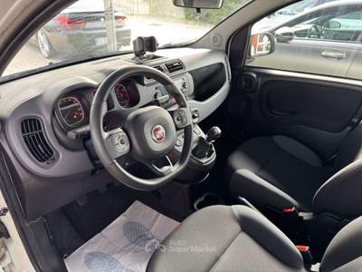 Fiat Panda Panda 4x4 0.9 t.air Bianco usata Castel Gandolfo