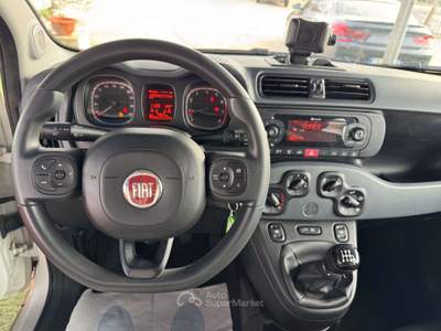 Fiat Panda Panda 4x4 0.9 t.air Bianco usata Castel Gandolfo