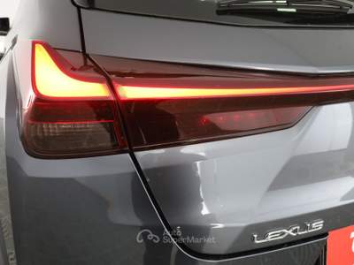 Lexus UX UX Hybrid Urban Grigio usata Parma