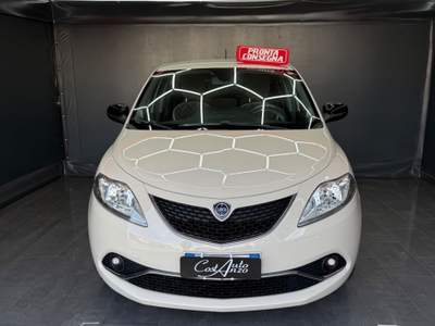 Lancia Ypsilon 1.3 Multijet 95 CV Platinum 2016 Beige usata Teverola
