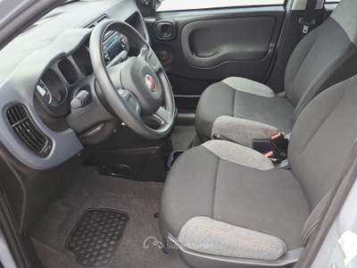 Fiat Panda  1.0 firefly hybrid s&s 70cv Grigio usata Firenze