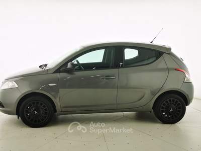 Lancia Ypsilon 1.2 69 CV 5 porte Elefantino Grigio usata Crema
