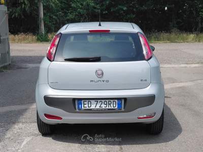 Fiat Punto Evo 3p 1.2 Dynamic 69 cv (Neopatentati) Bianco usata Bernate Ticino