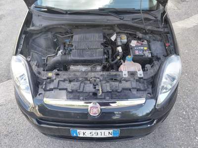 Fiat Punto III 5p 1.2 Lounge E6 (Neopatentati) Nero usata Bernate Ticino