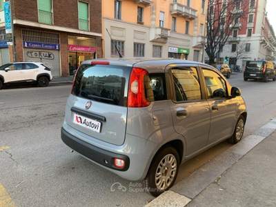 Fiat Panda 1.0 firefly hybrid s&amp;s 70cv (PROMO) Grigio usata Milano