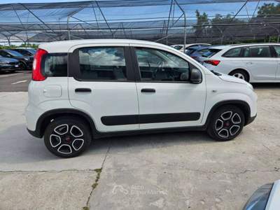 Fiat Panda Panda N1  1.0 70CV HYBRID EURO 6D VAN 4 Posti STRE Bianco usata Basiliano