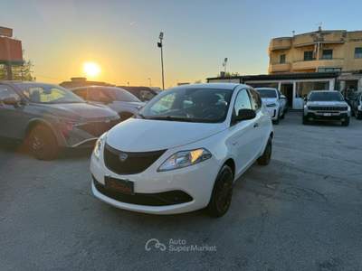 Lancia Ypsilon 1.2 69 CV 5 porte GPL Ecochic Gold Bianco usata Volla