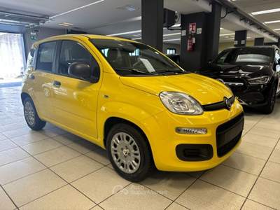 Fiat Panda 1.0 FireFly S&S Hybrid POP KM0 PROMO Giallo usata Arsago Seprio