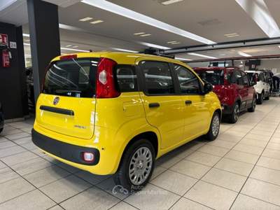 Fiat Panda 1.0 FireFly S&S Hybrid POP KM0 PROMO Giallo usata Arsago Seprio