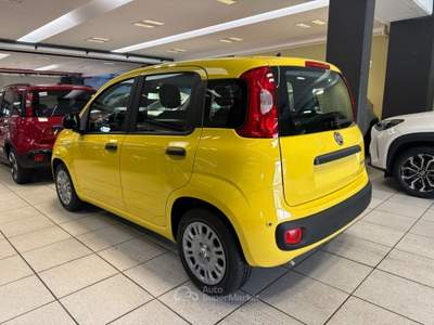 Fiat Panda 1.0 FireFly S&S Hybrid POP KM0 PROMO Giallo usata Arsago Seprio