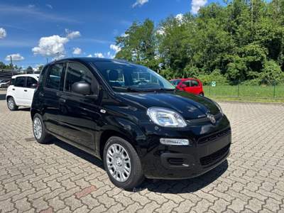 Fiat Panda 1.0 FireFly S&S Hybrid POP KM0 PROMO Nero usata Arsago Seprio