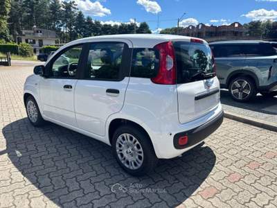 Fiat Panda 1.0 FireFly S&S Hybrid POP KM0 PROMO Bianco usata Arsago Seprio
