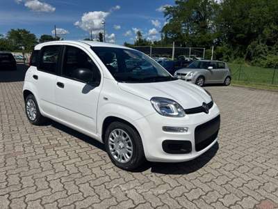 Fiat Panda 1.0 FireFly S&S Hybrid POP KM0 PROMO Bianco usata Arsago Seprio