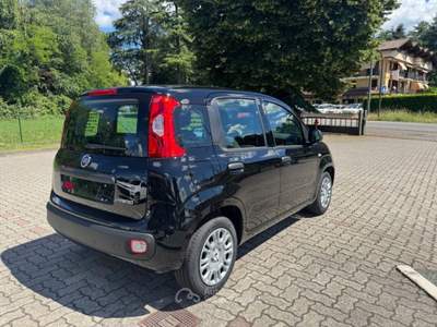 Fiat Panda 1.0 FireFly S&S Hybrid POP KM0 PROMO Nero usata Arsago Seprio