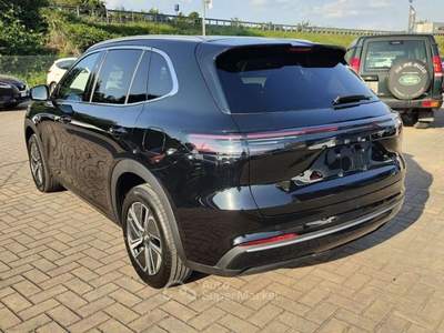 Geely Starray 1.5 EM-i Pro Argento usata Empoli