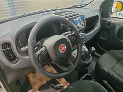 Fiat Panda 1.0 firefly hybrid Icon s&s 70cv 5p.ti Bianco usata Pont-Saint-Martin