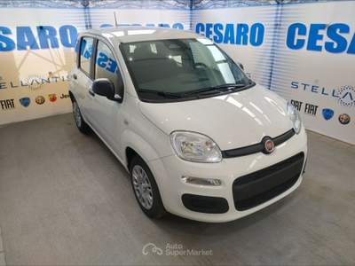 Fiat Panda 1.0 firefly hybrid Icon s&s 70cv 5p.ti Bianco usata Pont-Saint-Martin
