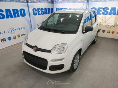 Fiat Panda 1.0 firefly hybrid Icon s&s 70cv 5p.ti Bianco usata Pont-Saint-Martin