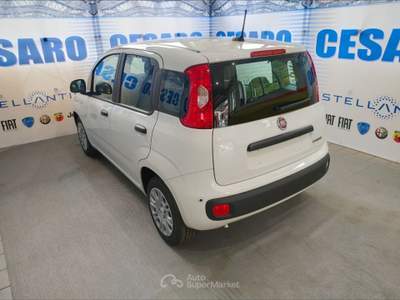 Fiat Panda 1.0 firefly hybrid Icon s&s 70cv 5p.ti Bianco usata Pont-Saint-Martin