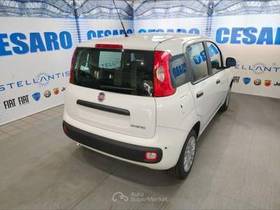 Fiat Pandina 1.0 firefly hybrid Pop s&s 65cv Bianco usata Pont-Saint-Martin