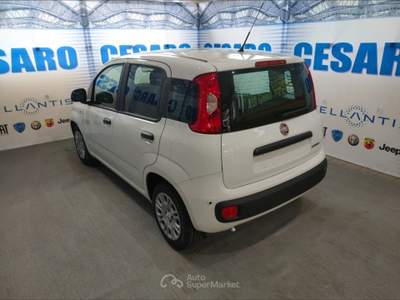 Fiat Pandina 1.0 firefly hybrid Pop s&s 65cv Bianco usata Pont-Saint-Martin