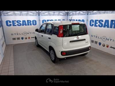 Fiat Pandina 1.0 firefly hybrid Pop s&s 65cv Bianco usata Pont-Saint-Martin