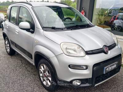 Fiat Panda 4x4 trekking 85cv Argento usata Tarcento