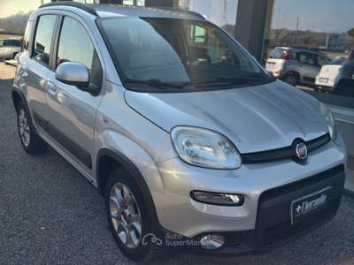 Fiat Panda 1.3mjt 4x4 Trekking Argento usata Tarcento