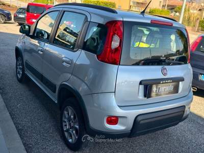Fiat Panda 1.3mjt 4x4 Trekking Argento usata Tarcento