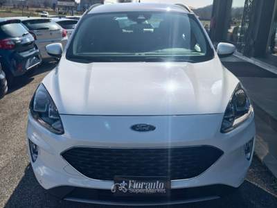 Ford Kuga 1.5ds 120 CV 2WD Titanium Bianco usata Tarcento