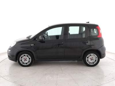 Fiat Panda Panda 1.0 firefly hybrid s&s 70cv Nero usata Legnago