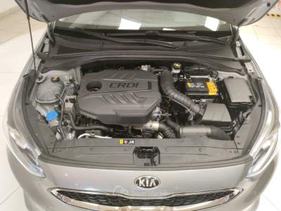 Kia Cee'd  -  1.6 crdi 136 cv dct 5p. evolution Grigio usata Civitanova Marche