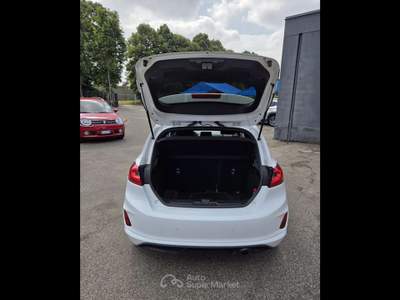 Ford Fiesta  - fiesta 5p 1.5 ecoblue (tdci) plus 85cv my19 Bianco usata Piacenza